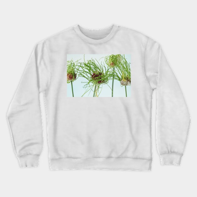 Allium vineale  'Hair' Crewneck Sweatshirt by chrisburrows